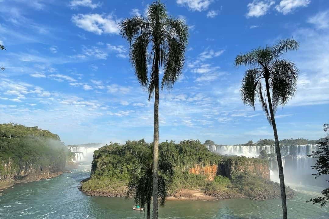 imagen de palmeras y de fondo las cataratas de iguazú en misiones, argentina.