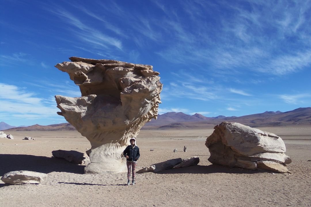 imagen de un turista junto a el famoso arbol de piedra, una formación natural creada por el viento en el desierto potosino.