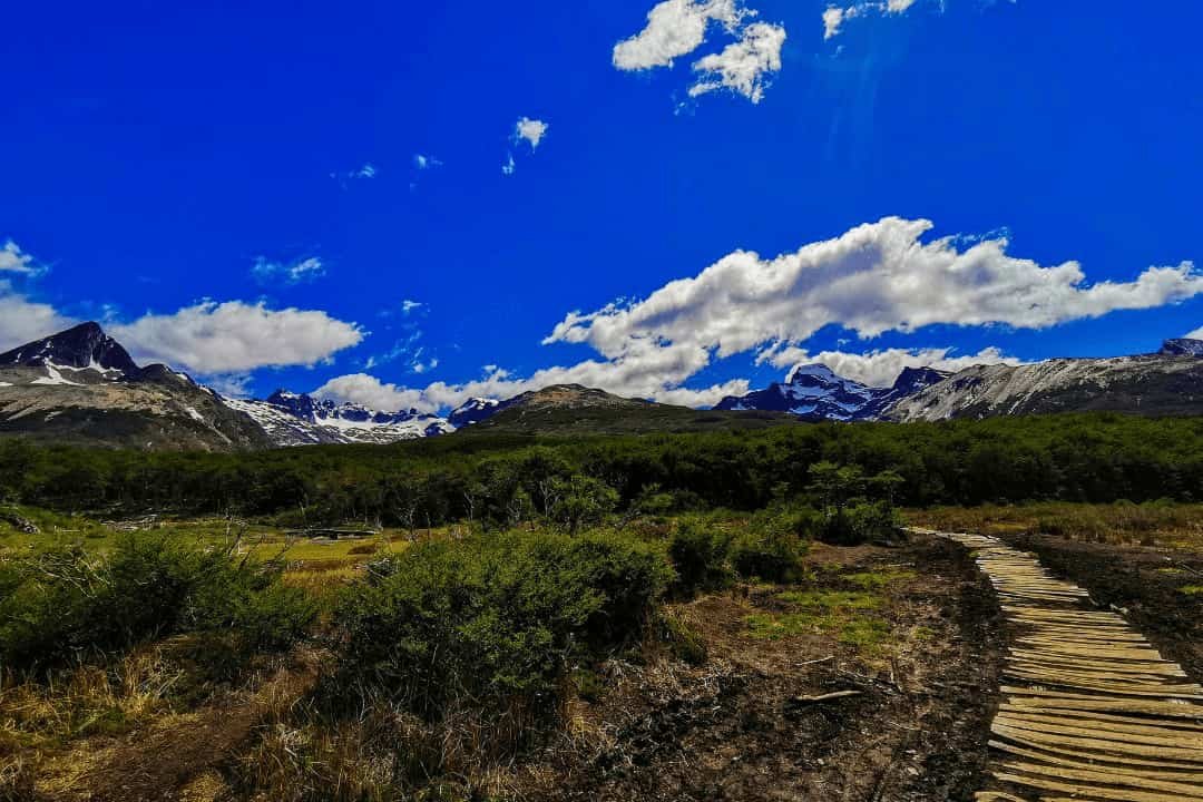 vista panorámica de paisaje de ushuaia con el fondo de unas montañas con nieve en epoca primaveral.