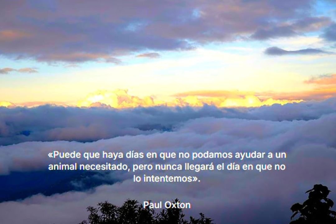 Puede que haya días en que no podamos ayudar a un animal necesitado, pero nunca llegara el día en que no lo intentemos.