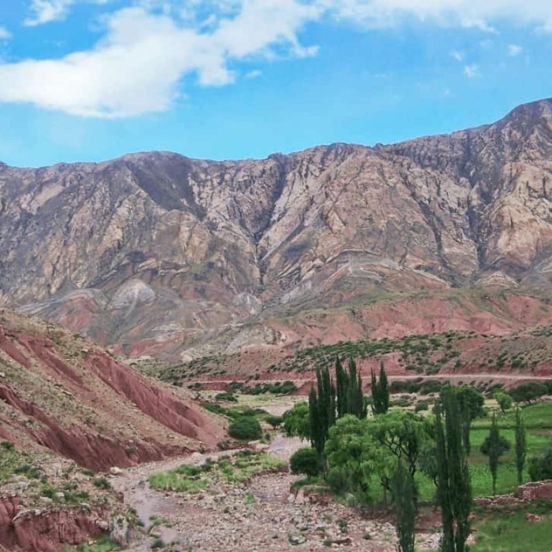 imagen de un valle en la localidad de tarija,